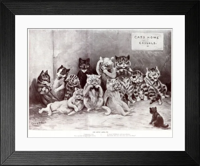 Framed Print : Supplement, The Seven Ages by Louis Wain - Seven