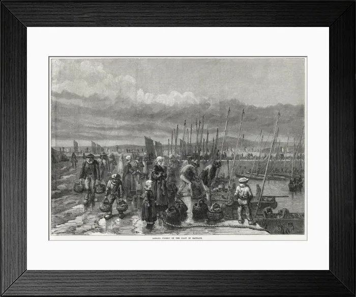 Framed Print : Sardine fishery at Brittany 1871 Framed Print : Sardine fishery at Brittany 1871