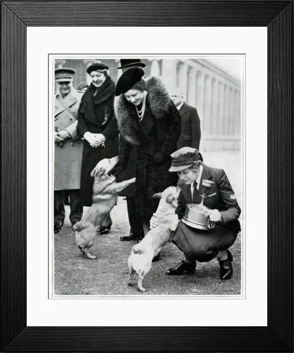 Framed Print : The Queen and Princesses corgis, inspection of YMCA canteen