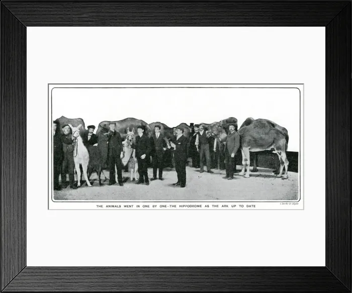 Framed Print : Animals at the London Hippodrome Framed Print : Animals at the London Hippodrome