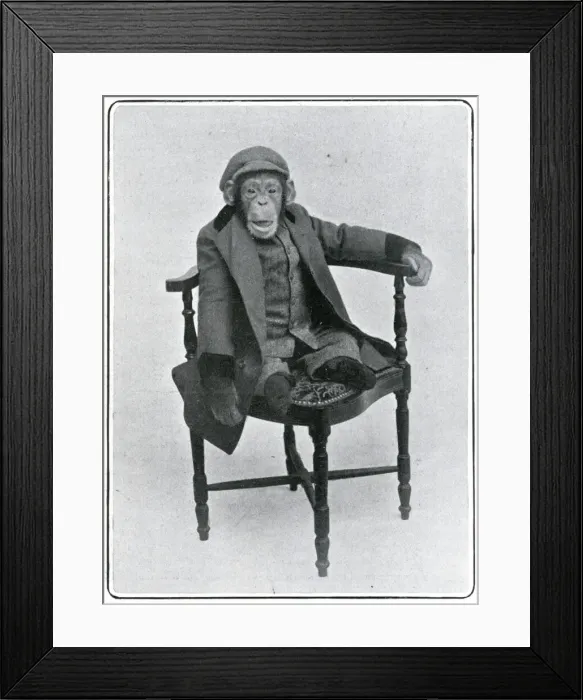 Framed Print : Consul the Chimp at the London Hippodrome Framed Print : Consul the Chimp at the London Hippodrome