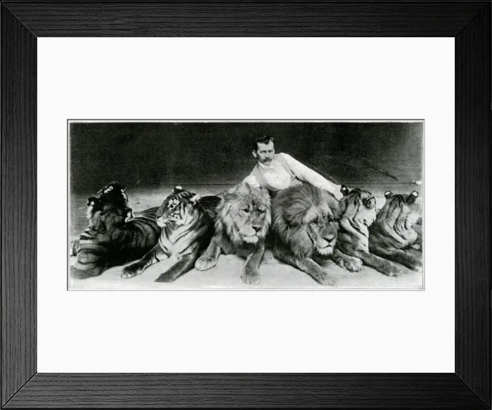 Framed Print : Richard Sawade with lions & tigers at the London Hippodrome Framed Print : Richard Sawade with lions & tigers at the London Hippodrome