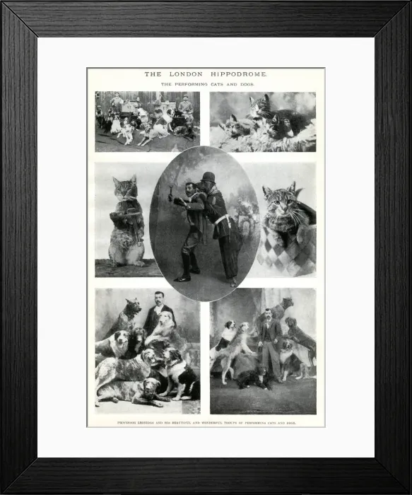 Framed Print : Performing cats and dogs at the London Hippodrome