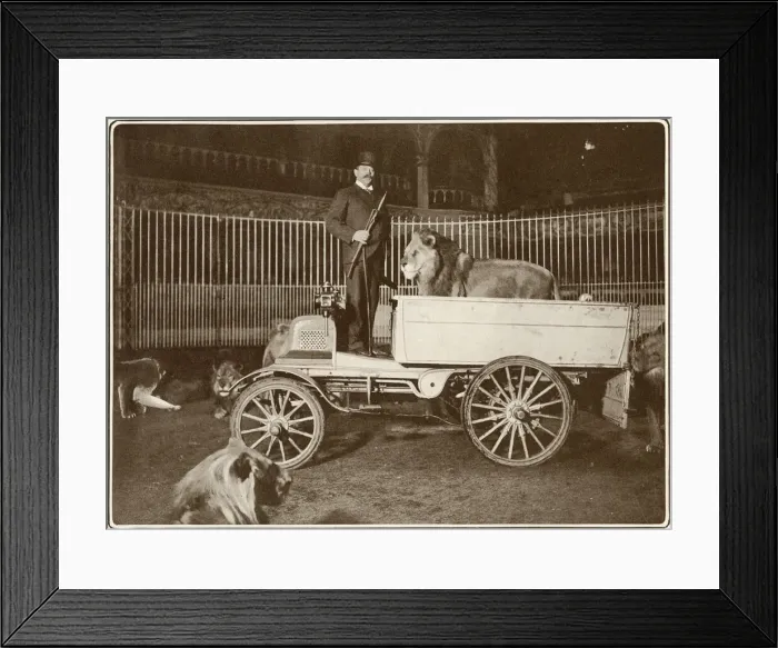Framed Print : Herr Julius Seeth and his lions in a car, London Hippodrome