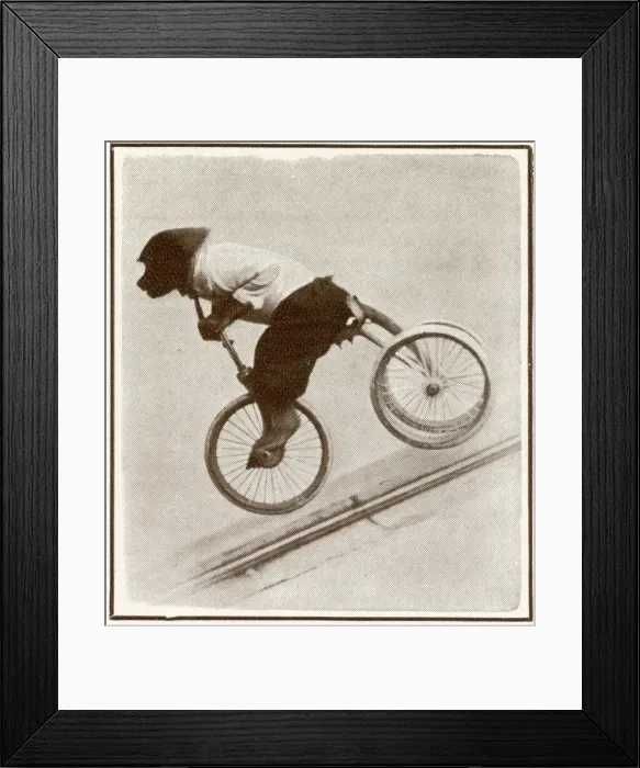 Framed Print : Herr Graiss looping monkey, Diavolino Framed Print : Herr Graiss looping monkey, Diavolino