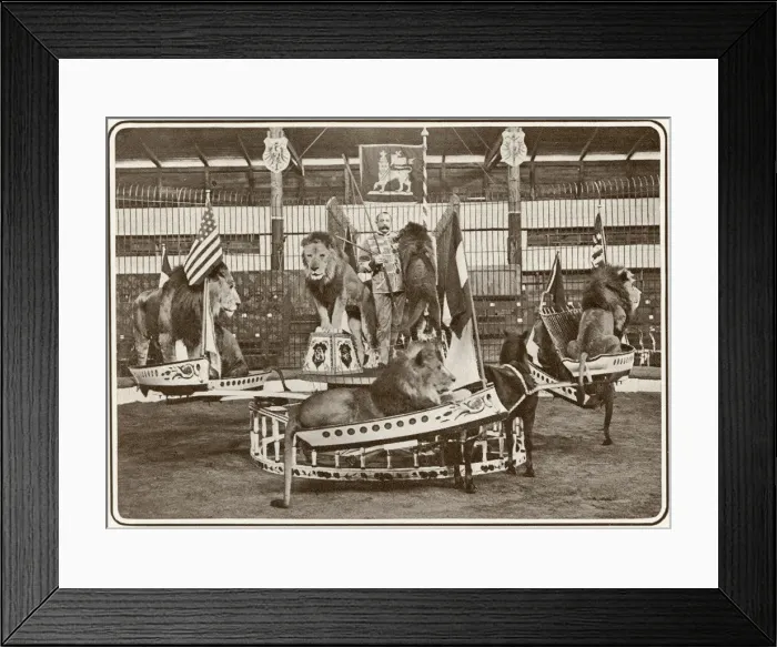 Framed Print : Seeths lions in swing boats at the London Hippodrome
