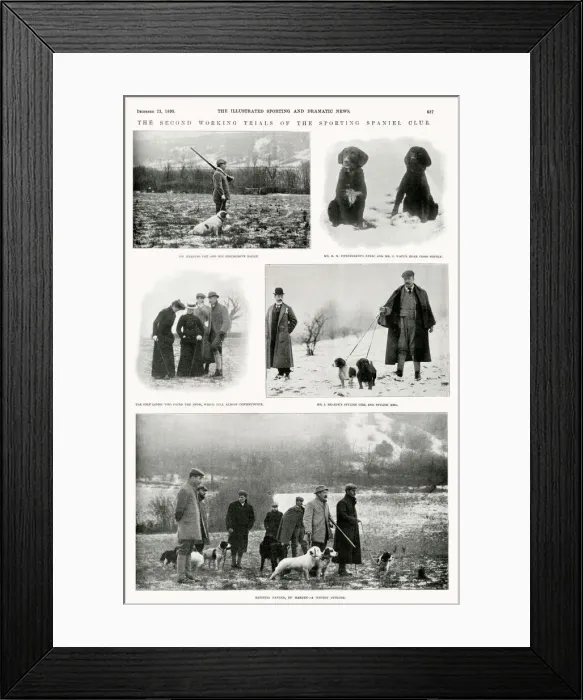 Framed Print : The second working trials of the sporting spaniel club Framed Print : The second working trials of the sporting spaniel club