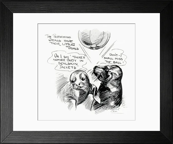 Framed Print : Performing seals at the London Hippodrome Framed Print : Performing seals at the London Hippodrome