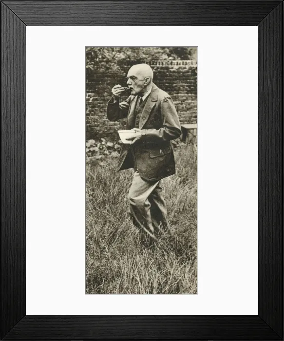 Framed Print : WWII - the man who eats grass, Mr J. R. B. Branson