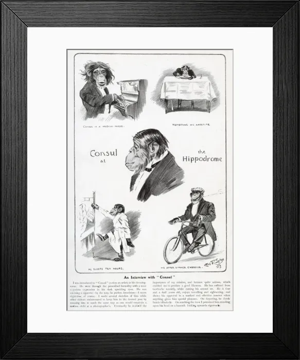 Framed Print : An Interview with Consul the Chimpanzee Framed Print : An Interview with Consul the Chimpanzee