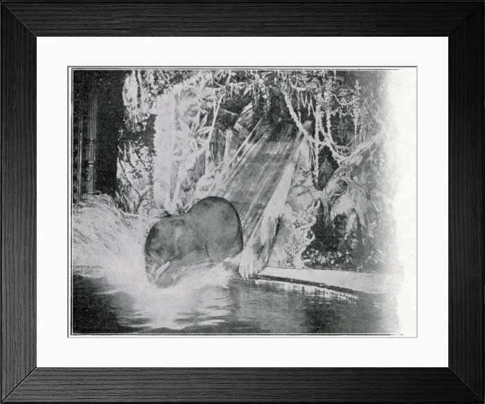 Framed Print : Plunging elephants at the London Hippodrome Framed Print : Plunging elephants at the London Hippodrome