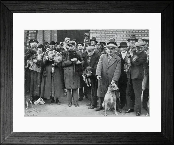 Framed Print : Dog owners given free licences Framed Print : Dog owners given free licences