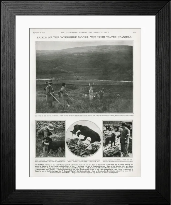 Framed Print : Trials on the Yorkshire Moors: the Irish Water Spaniels 1931 Framed Print : Trials on the Yorkshire Moors: the Irish Water Spaniels 1931