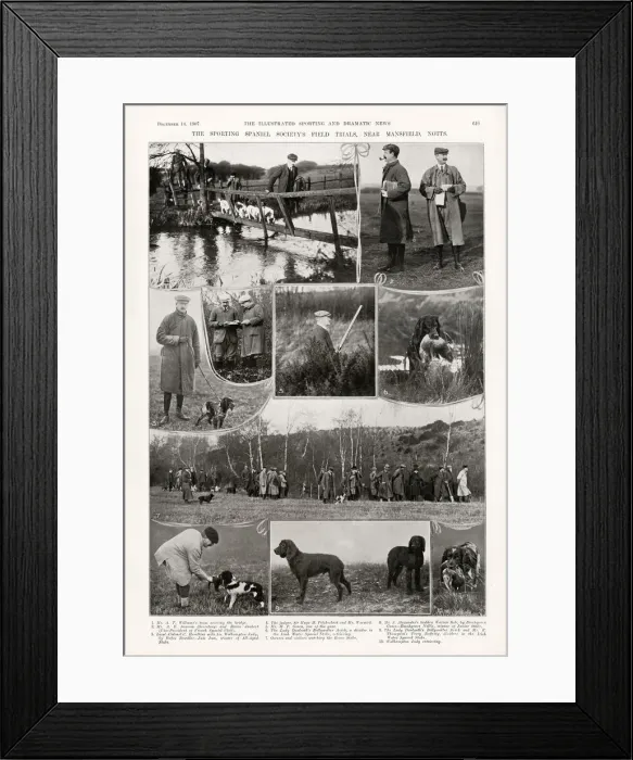 Framed Print : Sporting Spaniel Societys Field Trials, 1907 Framed Print : Sporting Spaniel Societys Field Trials, 1907