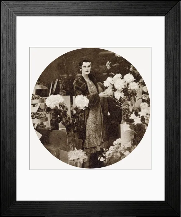 Framed Print : Margaret Whigham flower arranging in Selfridges window Framed Print : Margaret Whigham flower arranging in Selfridges window