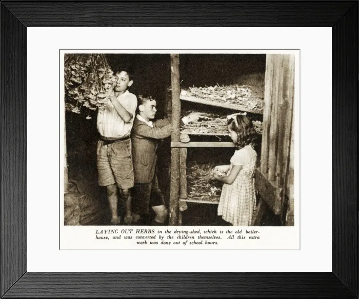 Framed Print : WW2 - Home Front - children from the Buckingham Gate Central School, evacuated to Handcross Framed Print : WW2 - Home Front - children from the Buckingham Gate Central School, evacuated to Handcross