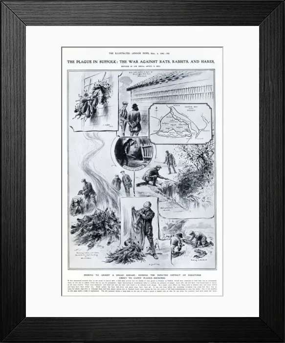 Framed Print : Seeking to arrest the dread disease: ridding the infected district of creatures likely to Framed Print : Seeking to arrest the dread disease: ridding the infected district of creatures likely to