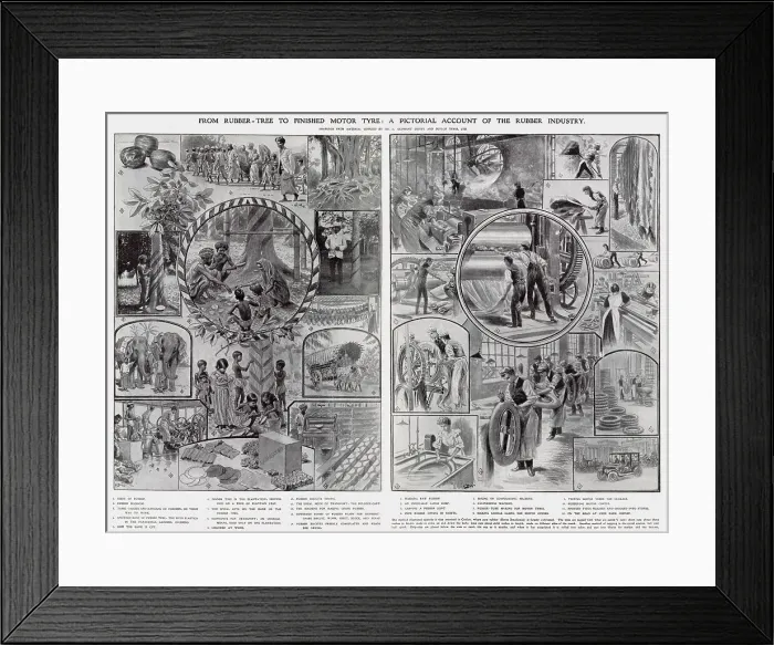 Framed Print : Rubber Tree to Finished Motor Tyres 1907 Framed Print : Rubber Tree to Finished Motor Tyres 1907