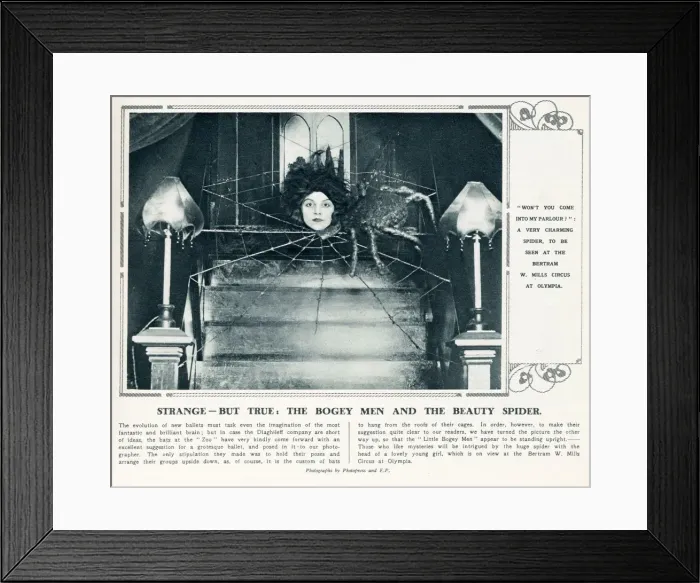 Framed Print : Strange - But True - The Bogey Men and the Beauty Spider Framed Print : Strange - But True - The Bogey Men and the Beauty Spider
