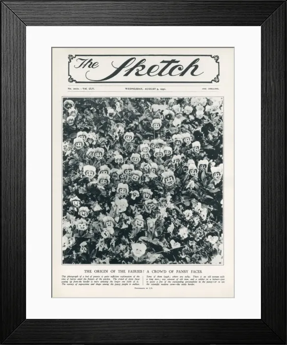 Framed Print : The Origin of the Fairies - A Crowd of Pansy Faces. Date: 1931 Framed Print : The Origin of the Fairies - A Crowd of Pansy Faces. Date: 1931