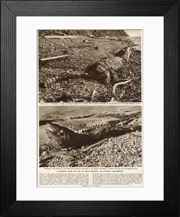 Framed Print : The Age of the Sea-Monster, discovery in Alaska Framed Print : The Age of the Sea-Monster, discovery in Alaska