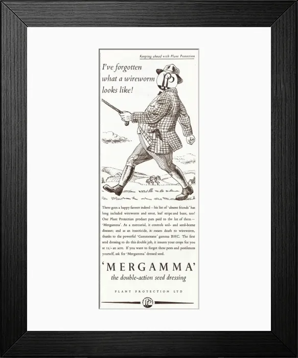 Framed Print : Mergamma pesticide advert, 1951 Framed Print : Mergamma pesticide advert, 1951