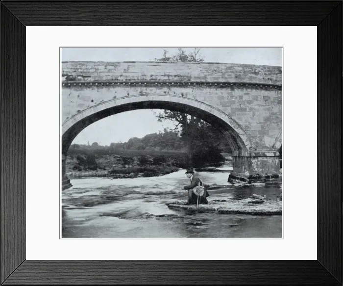 Framed Print : 13336012