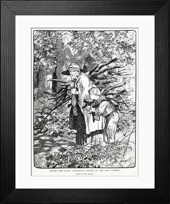 Framed Print : Gathering sticks in the New Forest. Date: 1903 Framed Print : Gathering sticks in the New Forest. Date: 1903