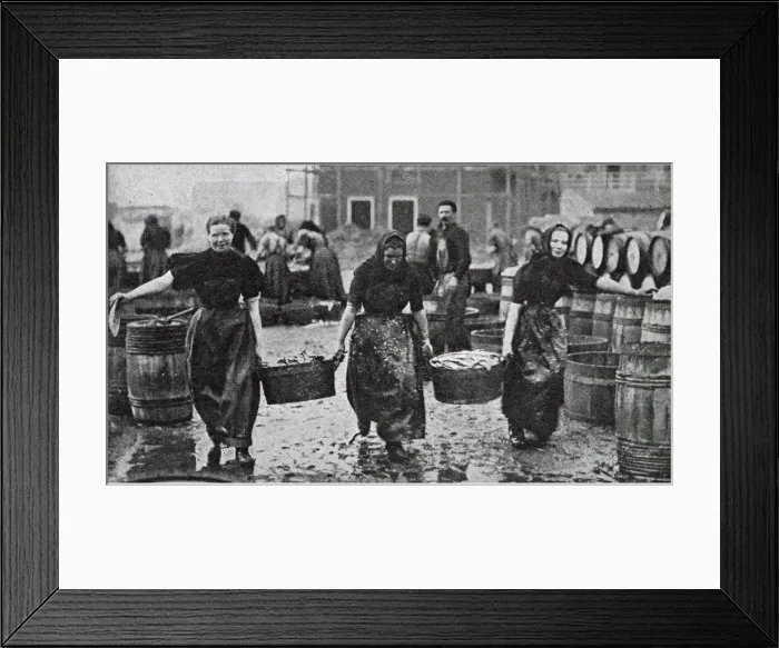 Framed Print : Scotch Herring Women Workers 1902 Framed Print : Scotch Herring Women Workers 1902
