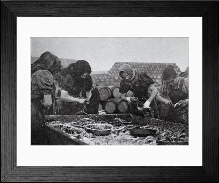 Framed Print : Scotch Herring Women Workers 1902 Framed Print : Scotch Herring Women Workers 1902