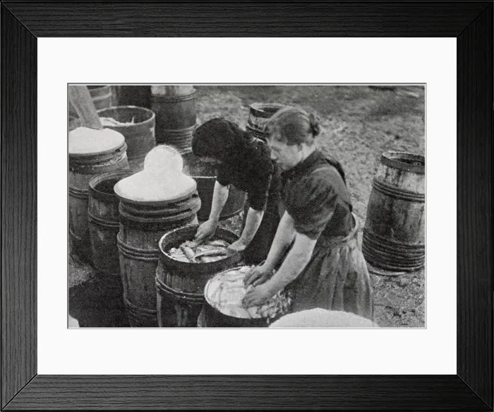 Framed Print : Scotch Herring Women Workers 1902 Framed Print : Scotch Herring Women Workers 1902