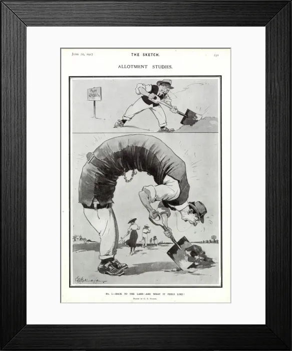Framed Print : Allotment studies by G. E. Studdy Framed Print : Allotment studies by G. E. Studdy