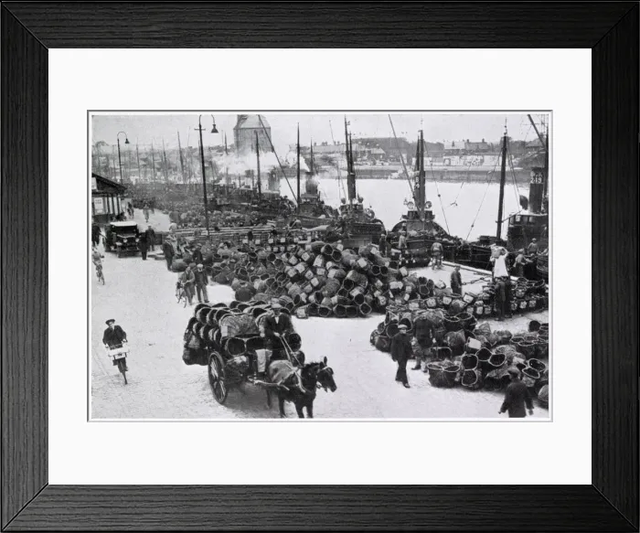 Framed Print : Herring Harvest in Great Yarmouth 1934