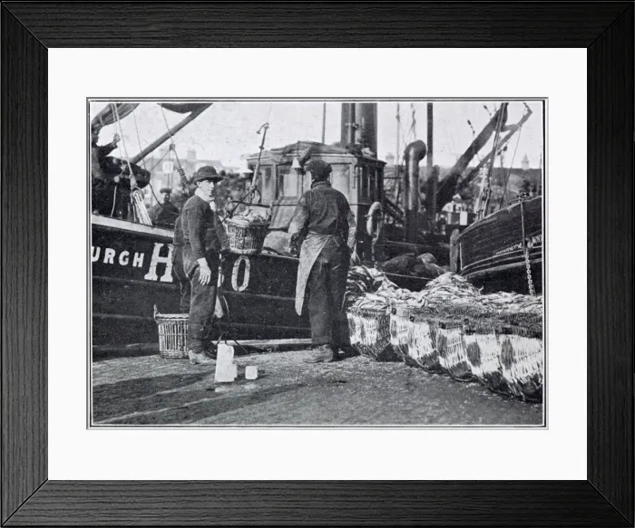 Framed Print : Fishermen unloading their catch during the herring harvest, October and November Framed Print : Fishermen unloading their catch during the herring harvest, October and November