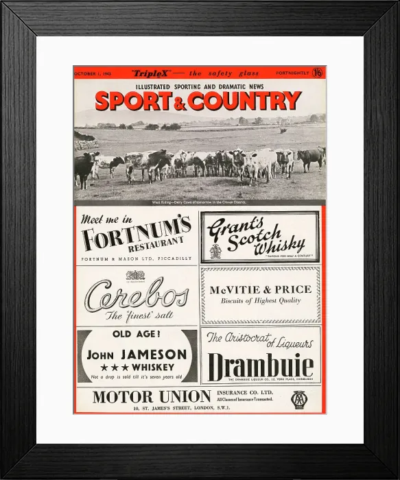 Framed Print : Outer wrapper cover of Sport & Country aka The Illustrated Sporting & Dramatic News, 1 October 1943, featuring a photograph of a dairy herd in the West Riding of Yorkshire with advertisements for Fortnum's restaurant, Grant's Scotch whisky Framed Print : Outer wrapper cover of Sport & Country aka The Illustrated Sporting & Dramatic News, 1 October 1943, featuring a photograph of a dairy herd in the West Riding of Yorkshire with advertisements for Fortnum's restaurant, Grant's Scotch whisky