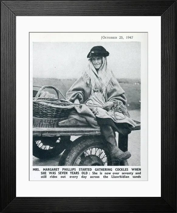 Framed Print : The Cockle Women of Gower: An Ancient Industry on the Llanrhidian Sands, South Wales Framed Print : The Cockle Women of Gower: An Ancient Industry on the Llanrhidian Sands, South Wales