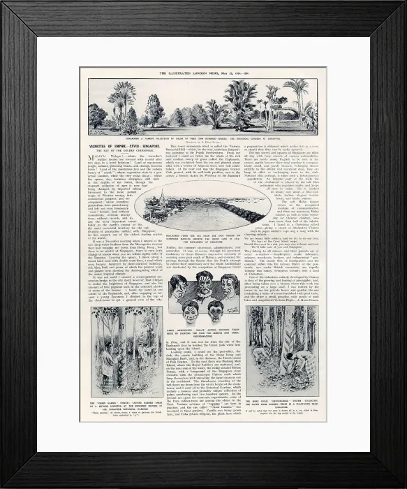 Framed Print : Alfred Hugh Fisher, Vignettes of Empire XXVIII. Singapore. The chain gamma system: tapping rubber-trees by a method invented at the economic section of the Singapore Botanical Gardens Date: 1914 Framed Print : Alfred Hugh Fisher, Vignettes of Empire XXVIII. Singapore. The chain gamma system: tapping rubber-trees by a method invented at the economic section of the Singapore Botanical Gardens Date: 1914
