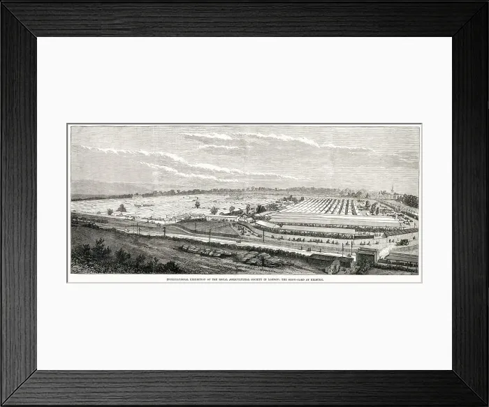 Framed Print : View of the International Exhibition of the Royal Agricultural Society in London - the show-yard at Kilburn. Date: 1879 Framed Print : View of the International Exhibition of the Royal Agricultural Society in London - the show-yard at Kilburn. Date: 1879