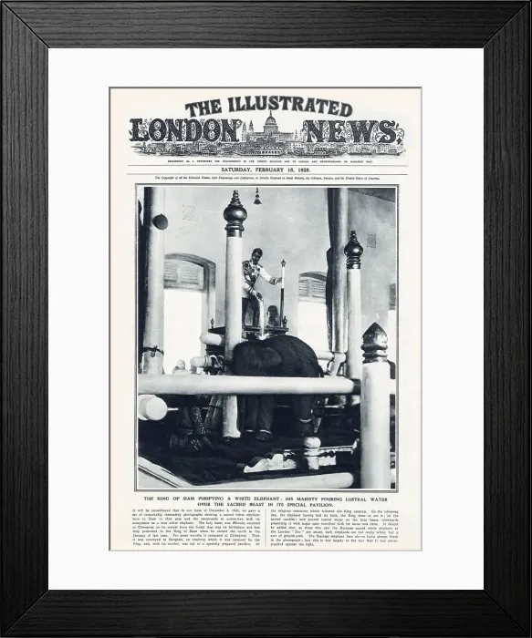 Framed Print : Front cover of The Illustrated London News showing the King of Siam purifying a white elephant. His Majesty is shown pouring lustral water over the sacred beast in its special pavilion. Date: 1928 Framed Print : Front cover of The Illustrated London News showing the King of Siam purifying a white elephant. His Majesty is shown pouring lustral water over the sacred beast in its special pavilion. Date: 1928