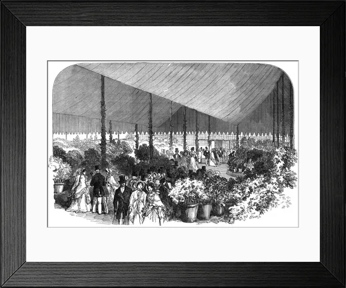 Framed Print : Royal Botanic Society exhibition, Regents Park, London Framed Print : Royal Botanic Society exhibition, Regents Park, London
