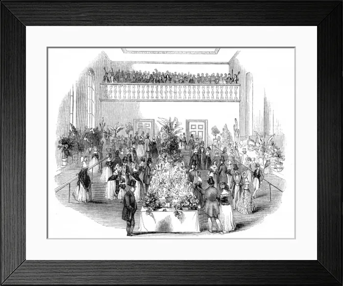 Framed Print : Summer flower show, Newcastle Horticultural Society Framed Print : Summer flower show, Newcastle Horticultural Society
