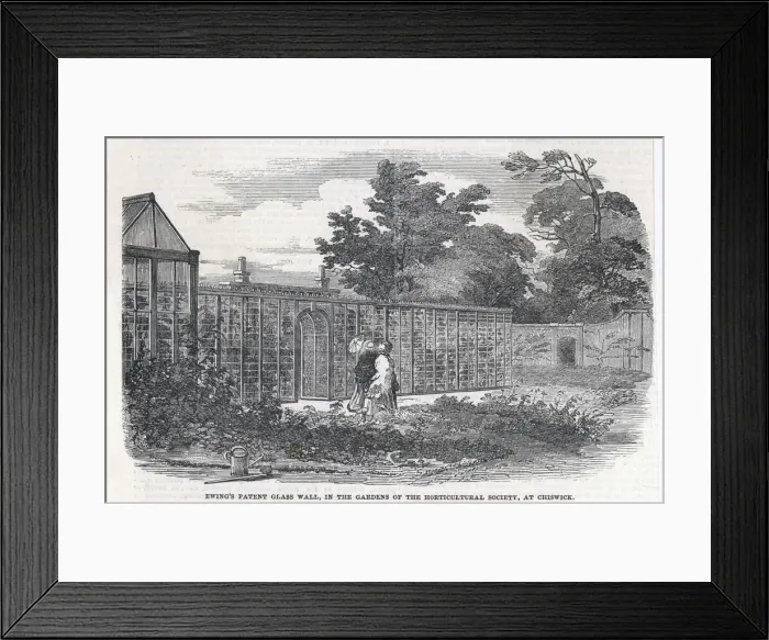 Framed Print : Ewings glass wall, Chiswick, London Framed Print : Ewings glass wall, Chiswick, London