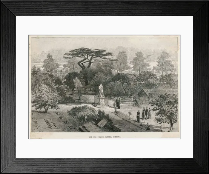 Framed Print : Old Physick Garden, Chelsea, London