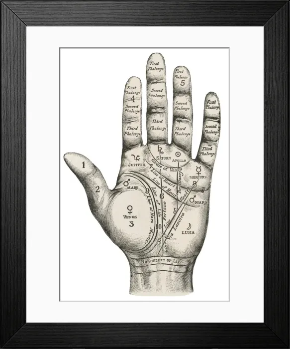 Framed Print : Palmistry map of the hand Framed Print : Palmistry map of the hand