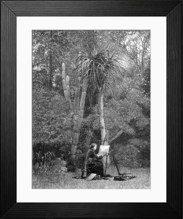 Framed Print : Marianne North Framed Print : Marianne North