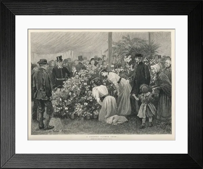 Framed Print : Flower Show