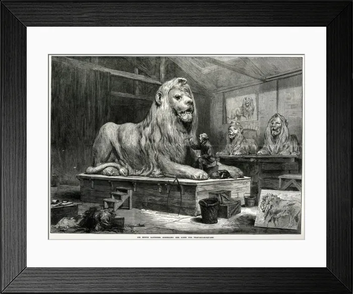 Framed Print : Trafalgar Square Lion Framed Print : Trafalgar Square Lion