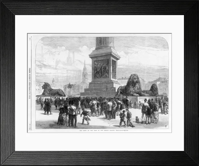 Framed Print : Trafalgar Square Lions