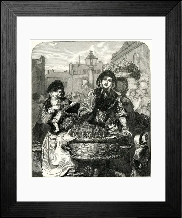 Framed Print : Summer - The Strawberry Girl 1849 Framed Print : Summer - The Strawberry Girl 1849