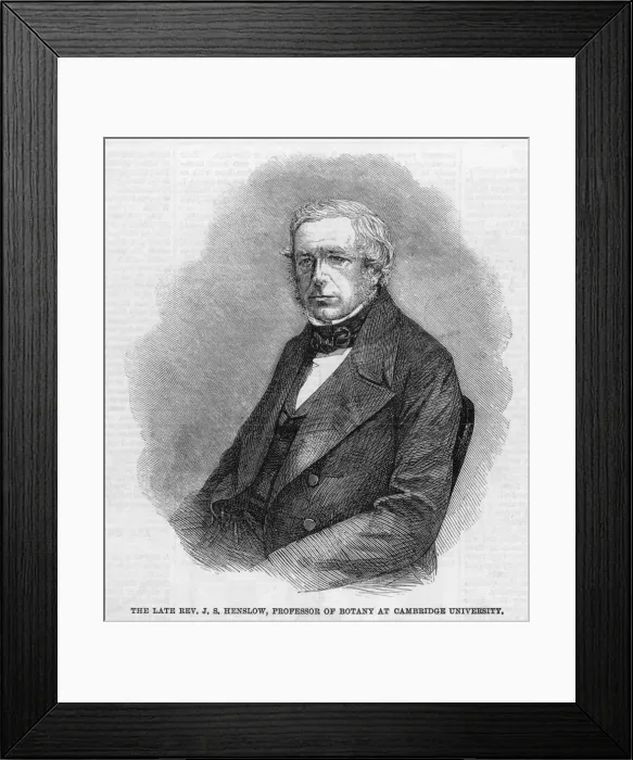 Framed Print : HENSLOW (1796 - 1861)